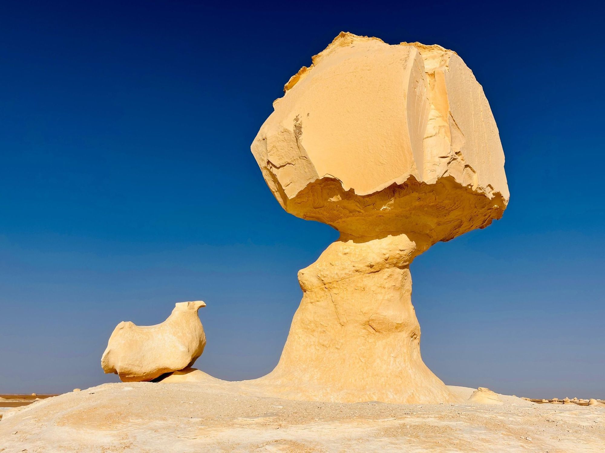 A mushroom-shaped chalk rock in the White Desert